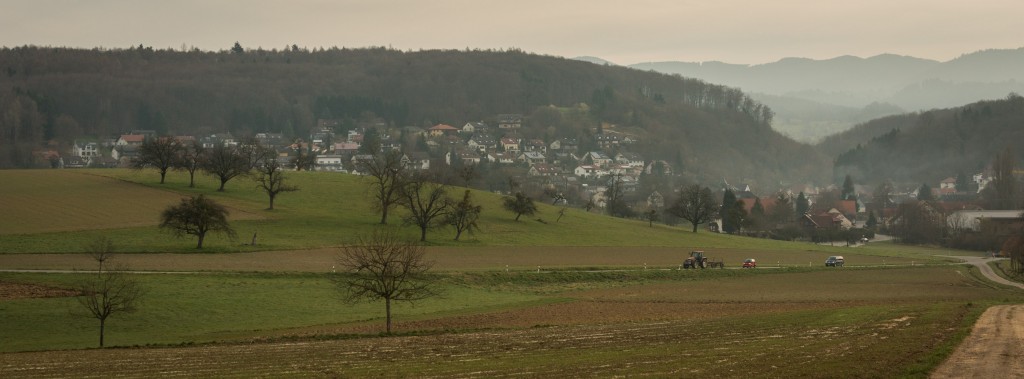 A view of the village of Riedlingen still resting in the morning mist, from the west.