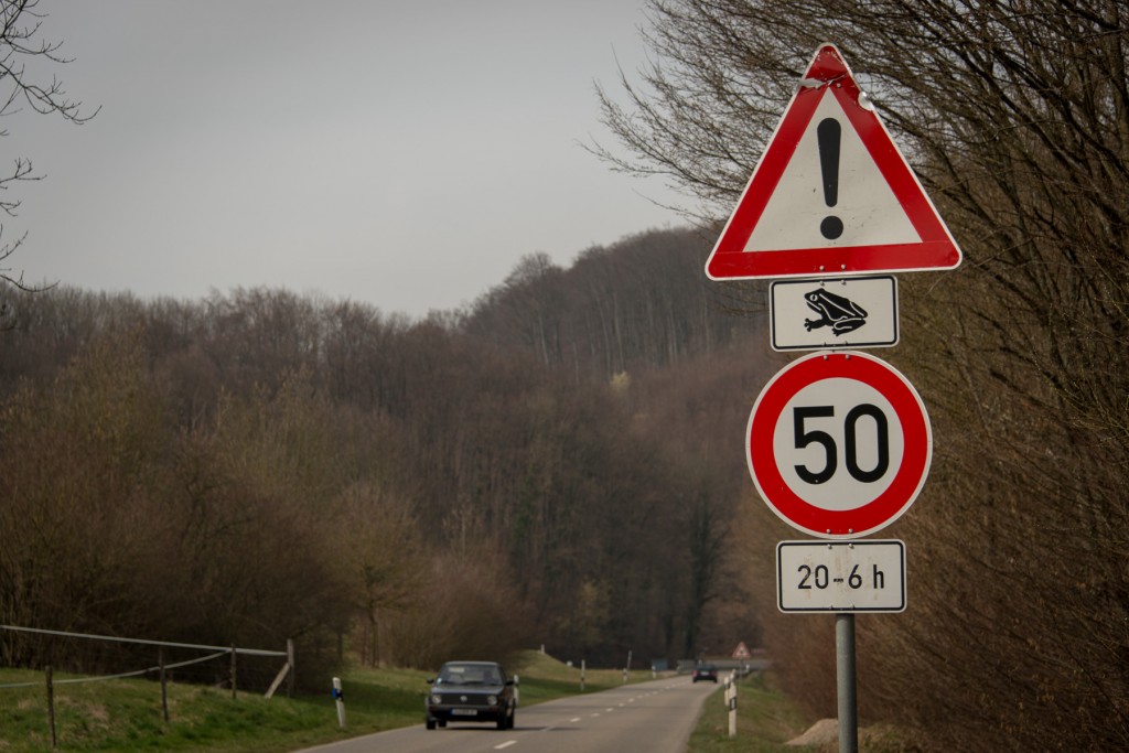 One of the many things we learned while in Kandern was that the frogs are, apparently, a force with which to be reckoned--if they get squished on the road, they make it slipperier than ice, and just as dangerous, thus the warnings.