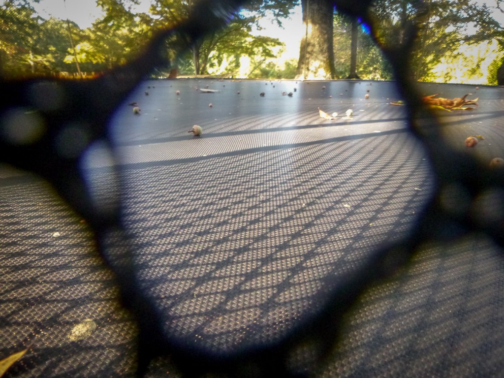 Phoenix is working on framing and composing interesting shots. Here, she uses the netting of the trampoline to frame the pattern of the sun coming through onto the trampoline surface. I think it's pretty cool.
