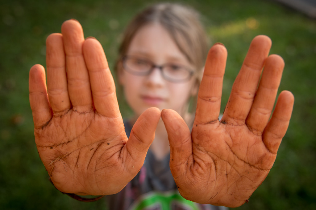 Phoenix shows off her hands after a day spent playing at the "creek." She spent the day making pots and bowls. I made her wash these off outside before she came inside.