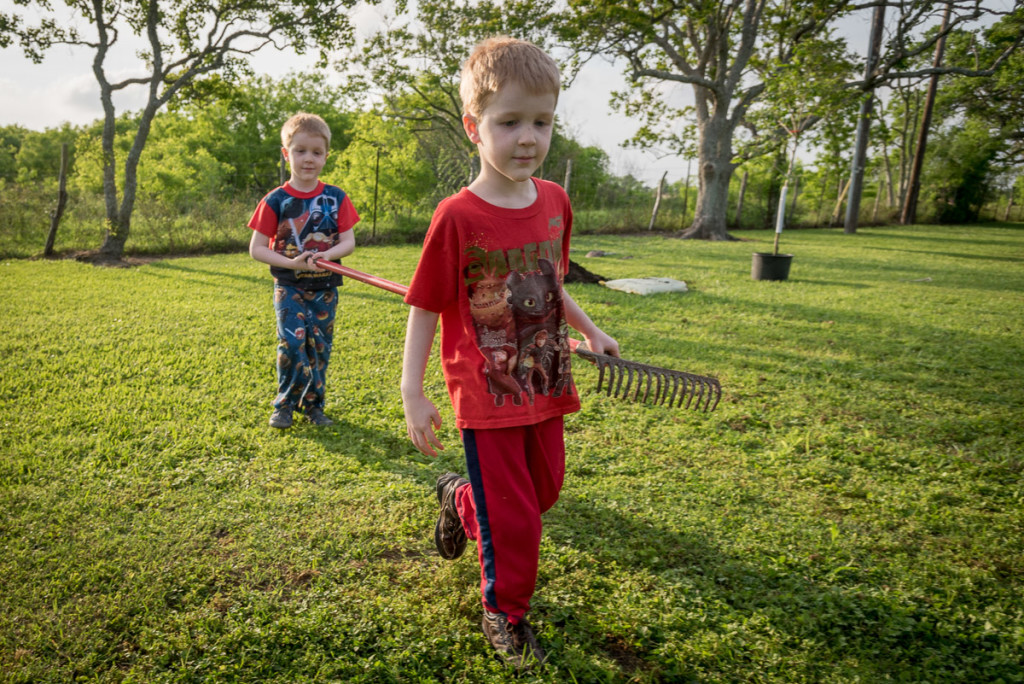 Everyone helped with the planting, in their own way. Beast and Nightcrawler were especially good at moving rakes, shovels and other tools we were using. They even moved them where we needed them, sometimes!